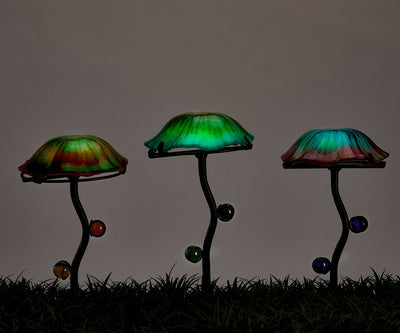 Glow in the Dark Mushrooms