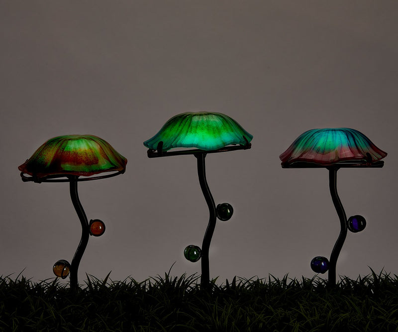 Glow in the Dark Mushrooms