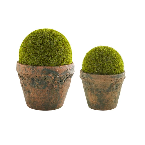 Aged Moss Pots