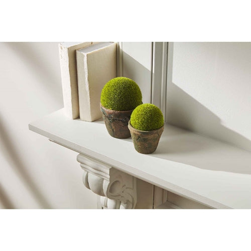 Aged Moss Pots