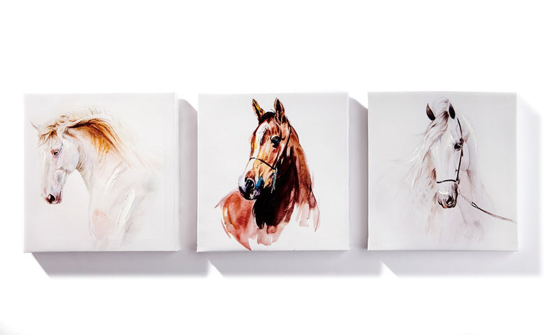 3 Set Horse Canvas