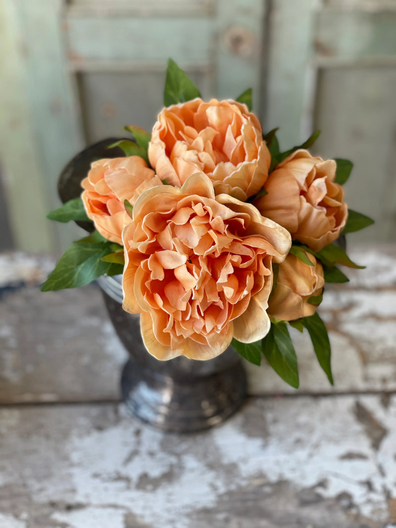 Sorbet Peony Bouquet