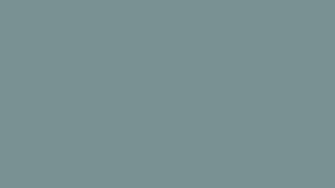 Blue Pine Mineral Paint