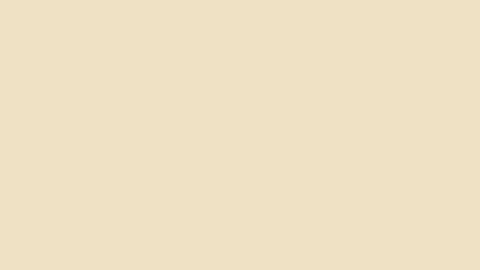Plaster Mineral Paint